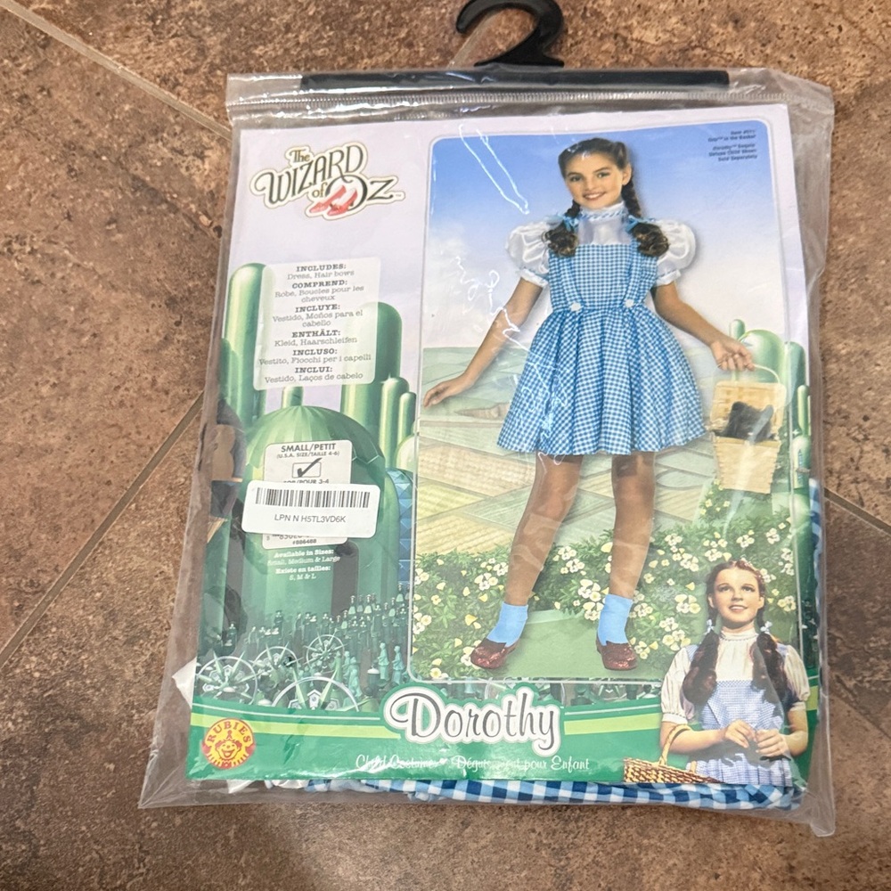Dorothy Costume with Blue Gingham Dress